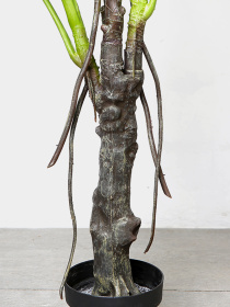 Штучна рослина "Monstera" Engard модель DW-22 Фото