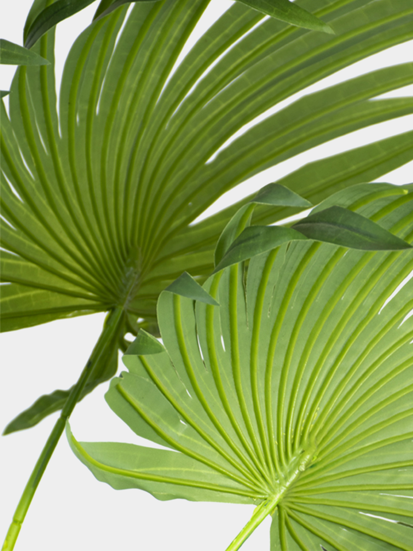 Искусственное растение "Cycas Palm" Engard модель DW-23 Фото