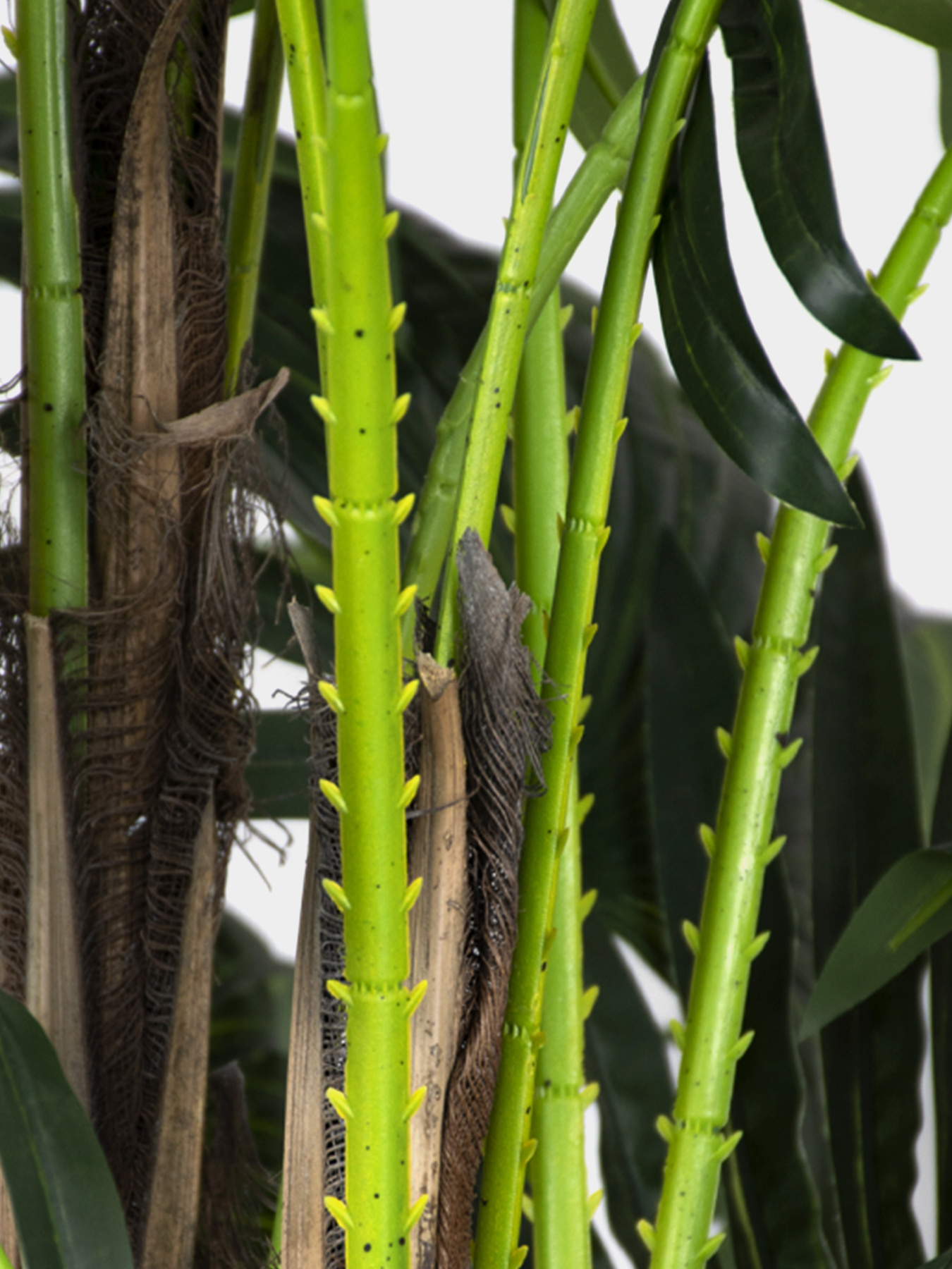 Искусственное растение "Cycas Palm" Engard модель DW-23 Фото