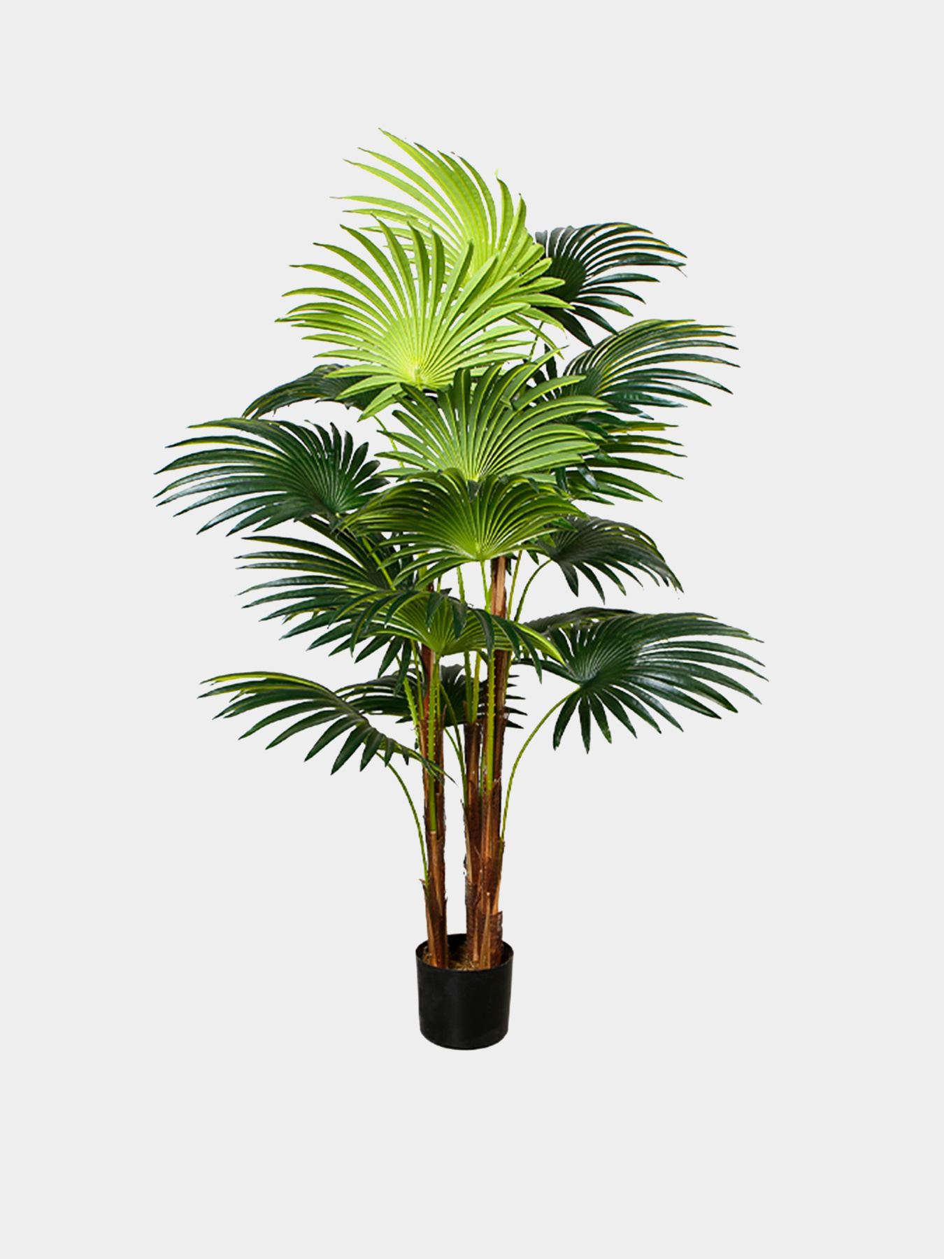 Штучна рослина "Cycas Palm" Engard модель DW-23 Фото