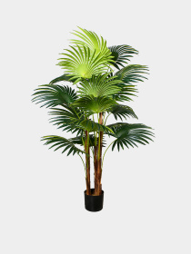 Штучна рослина "Cycas Palm" Engard модель DW-23 Фото