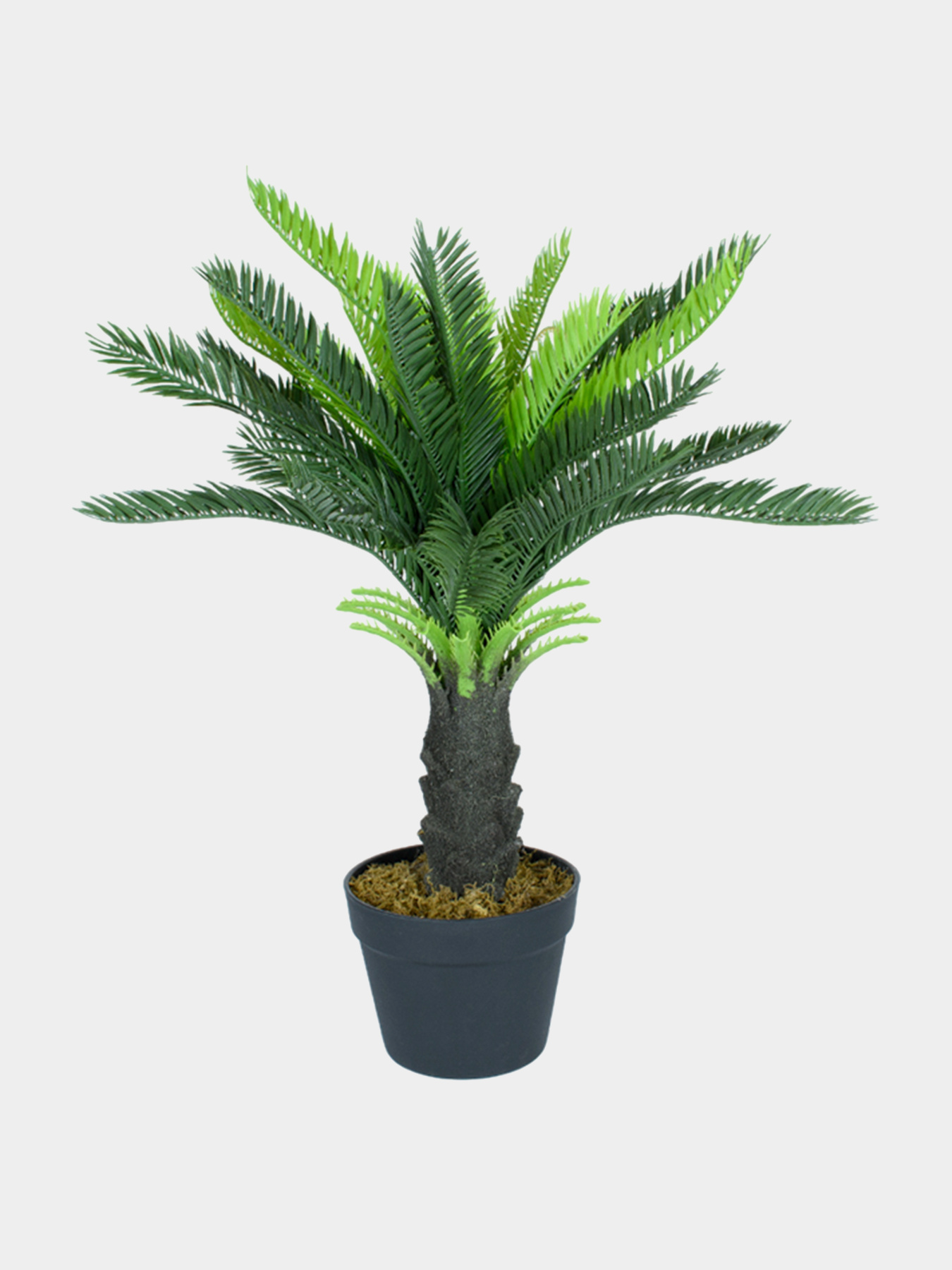 Искусственное растение "Cycas Palm" Engard модель DW-24 Фото