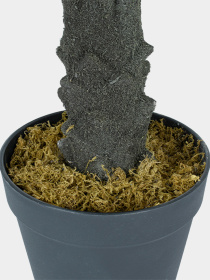 Искусственное растение "Cycas Palm" Engard модель DW-24 Фото