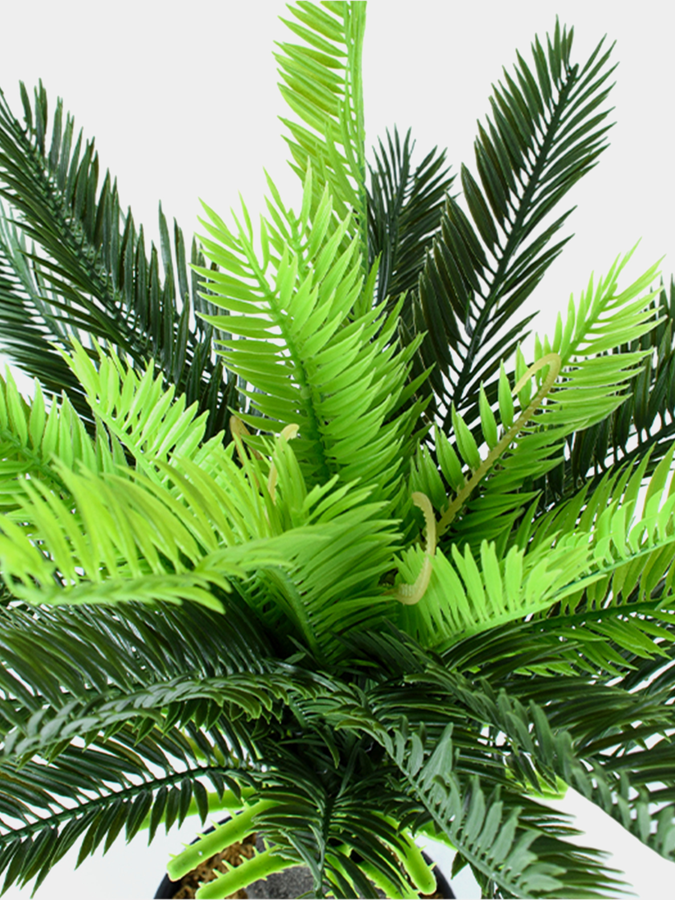 Штучна рослина "Cycas Palm" Engard модель DW-24 Фото