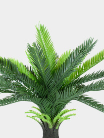 Штучна рослина "Cycas Palm" Engard модель DW-24 Фото