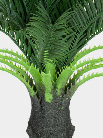 Штучна рослина "Cycas Palm" Engard модель DW-24 Фото