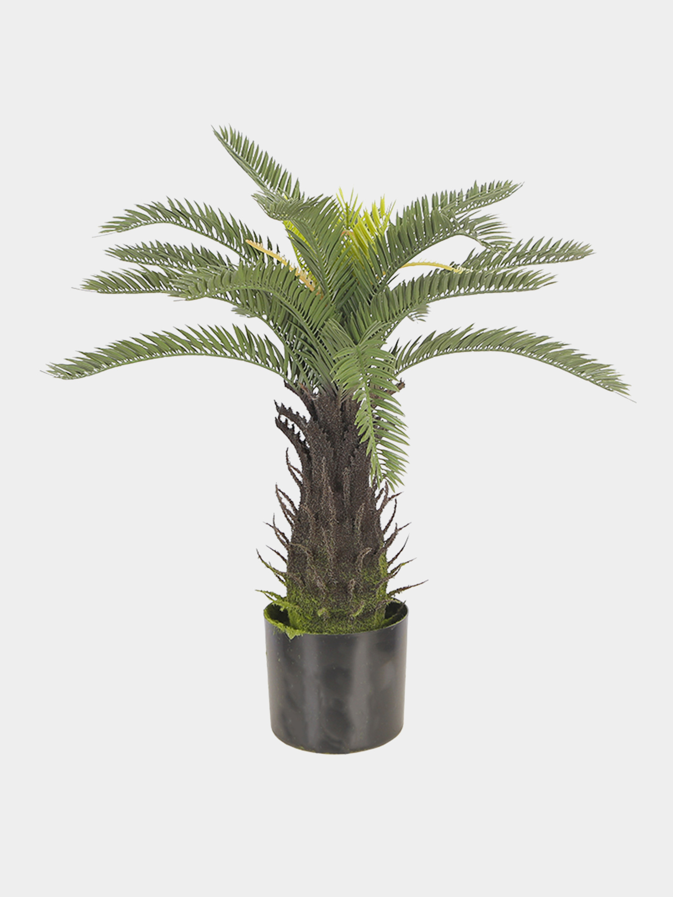 Штучна рослина "Cycas Palm" Engard модель DW-25 Фото
