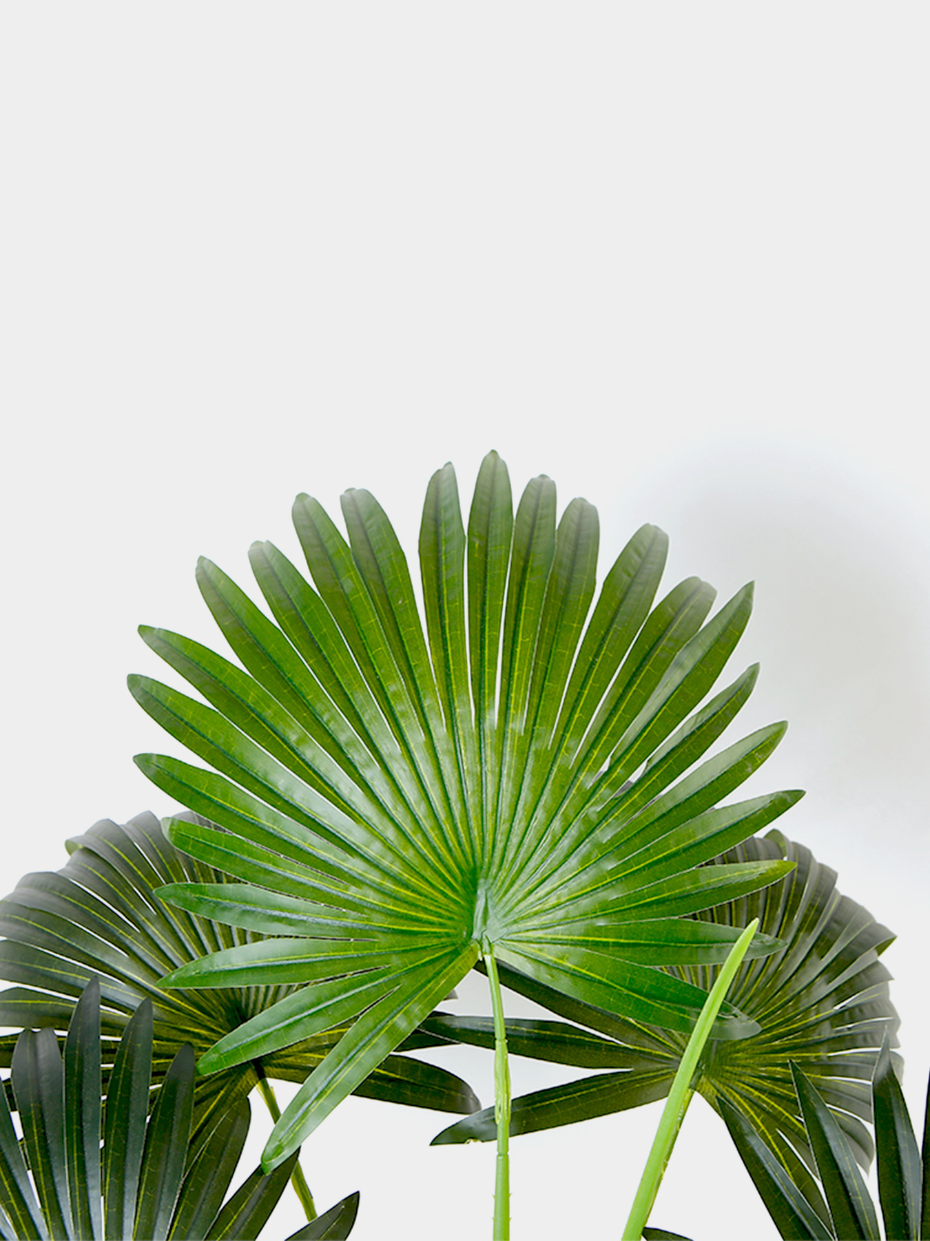 Искусственное растение "Fan Palm" Engard модель DW-26 Фото