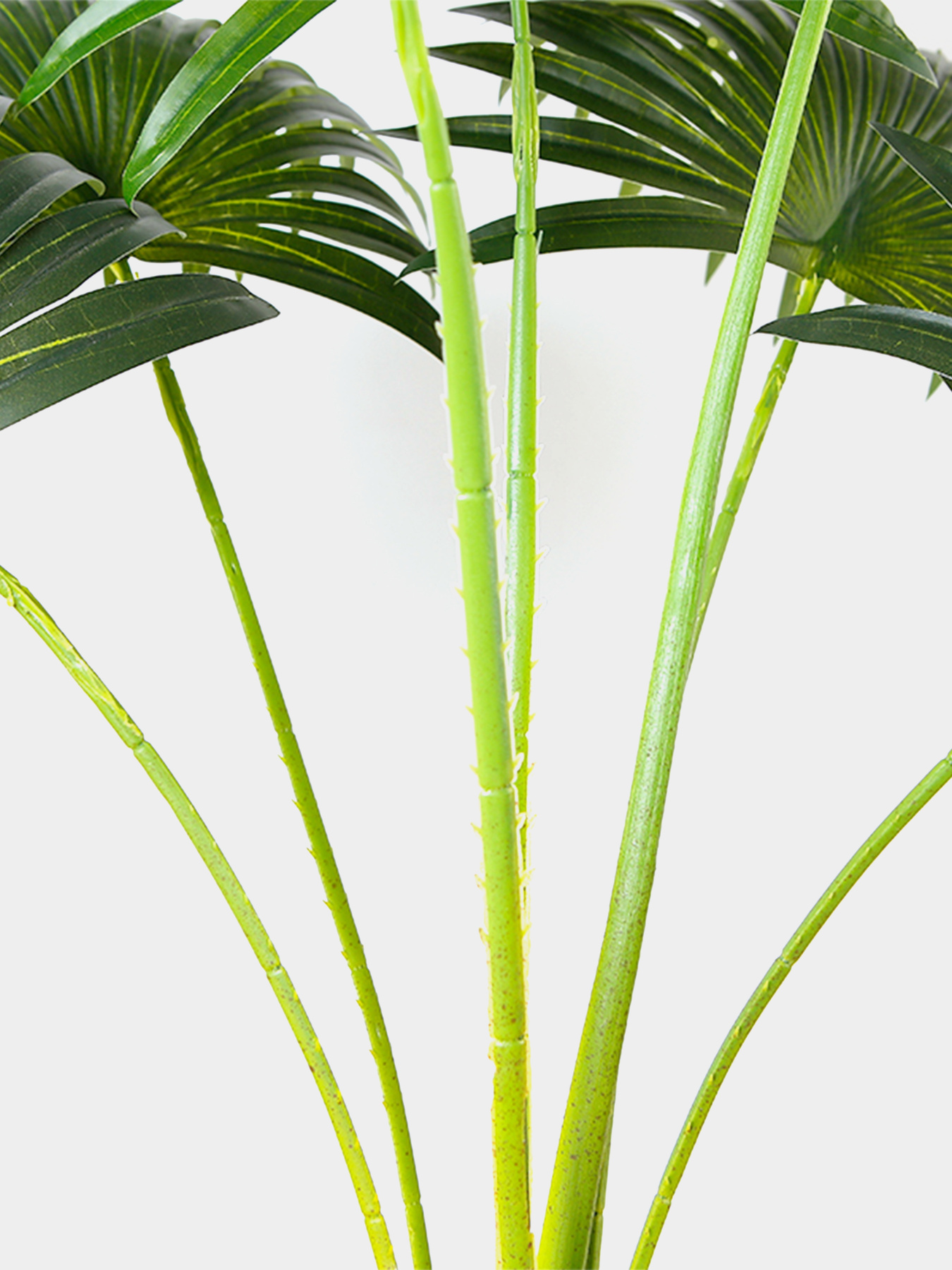Искусственное растение "Fan Palm" Engard модель DW-26 Фото