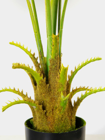 Искусственное растение "Fan Palm" Engard модель DW-26 Фото