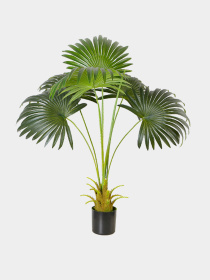 Искусственное растение "Fan Palm" Engard модель DW-26 Фото