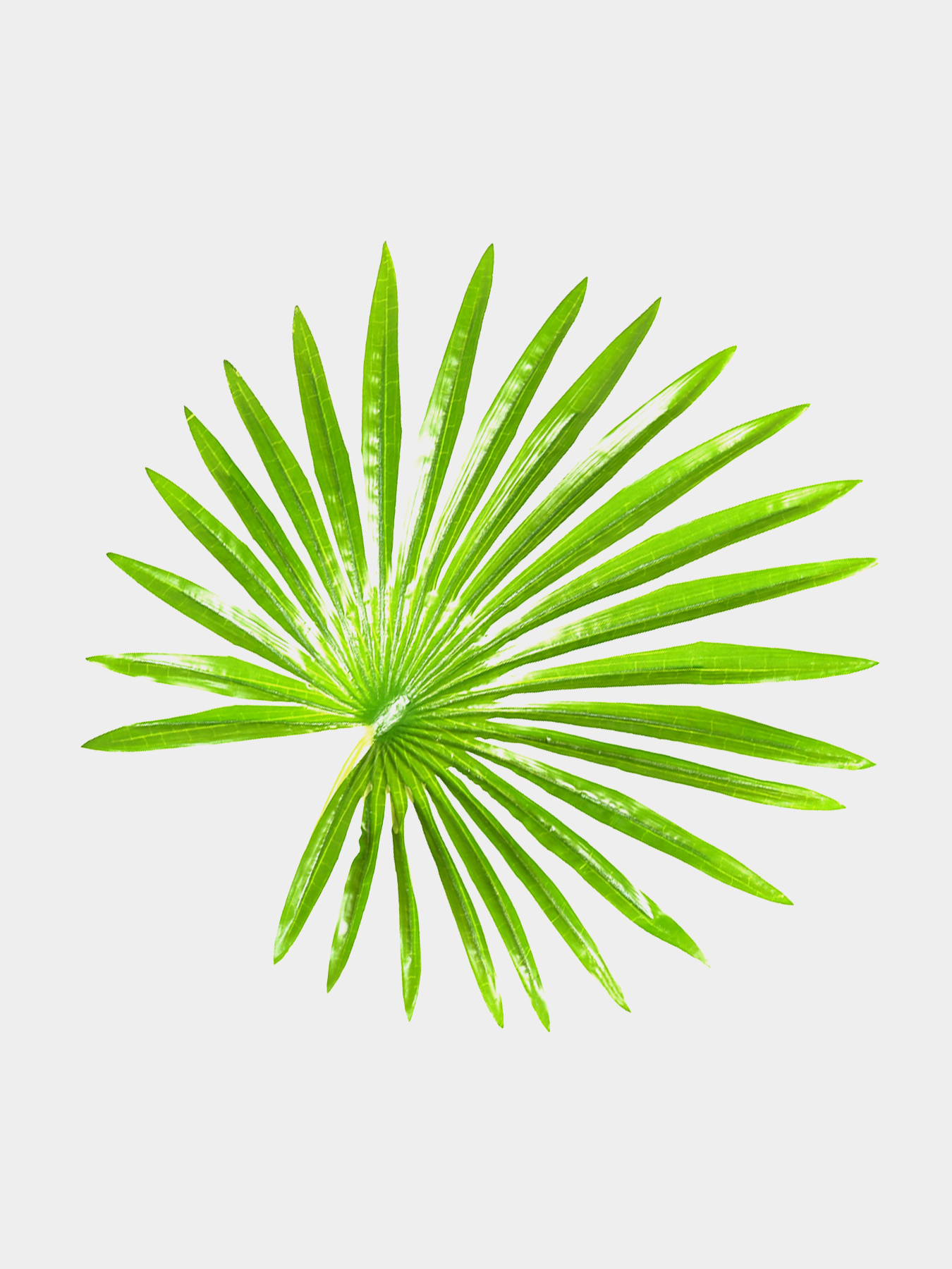 Штучна рослина "Fan Palm" Engard модель DW-27 Фото