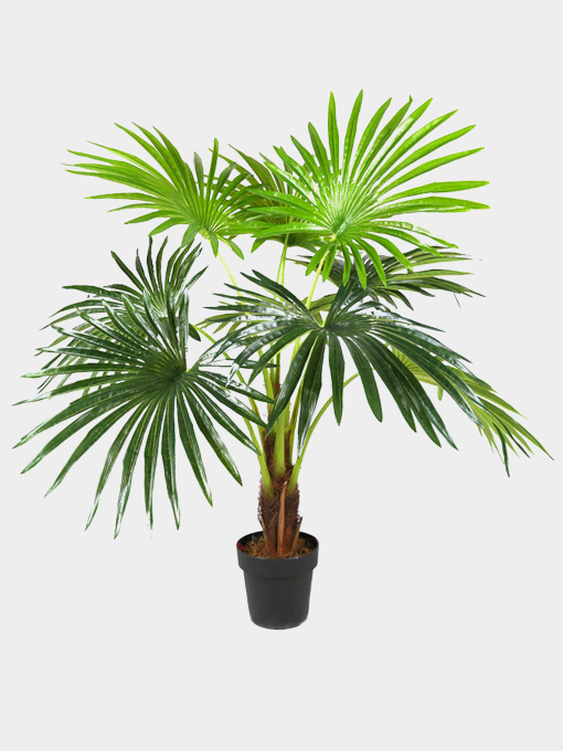 Искусственное растение "Fan Palm" Engard модель DW-27 Фото