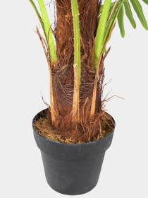Штучна рослина "Fan Palm" Engard модель DW-27 Фото