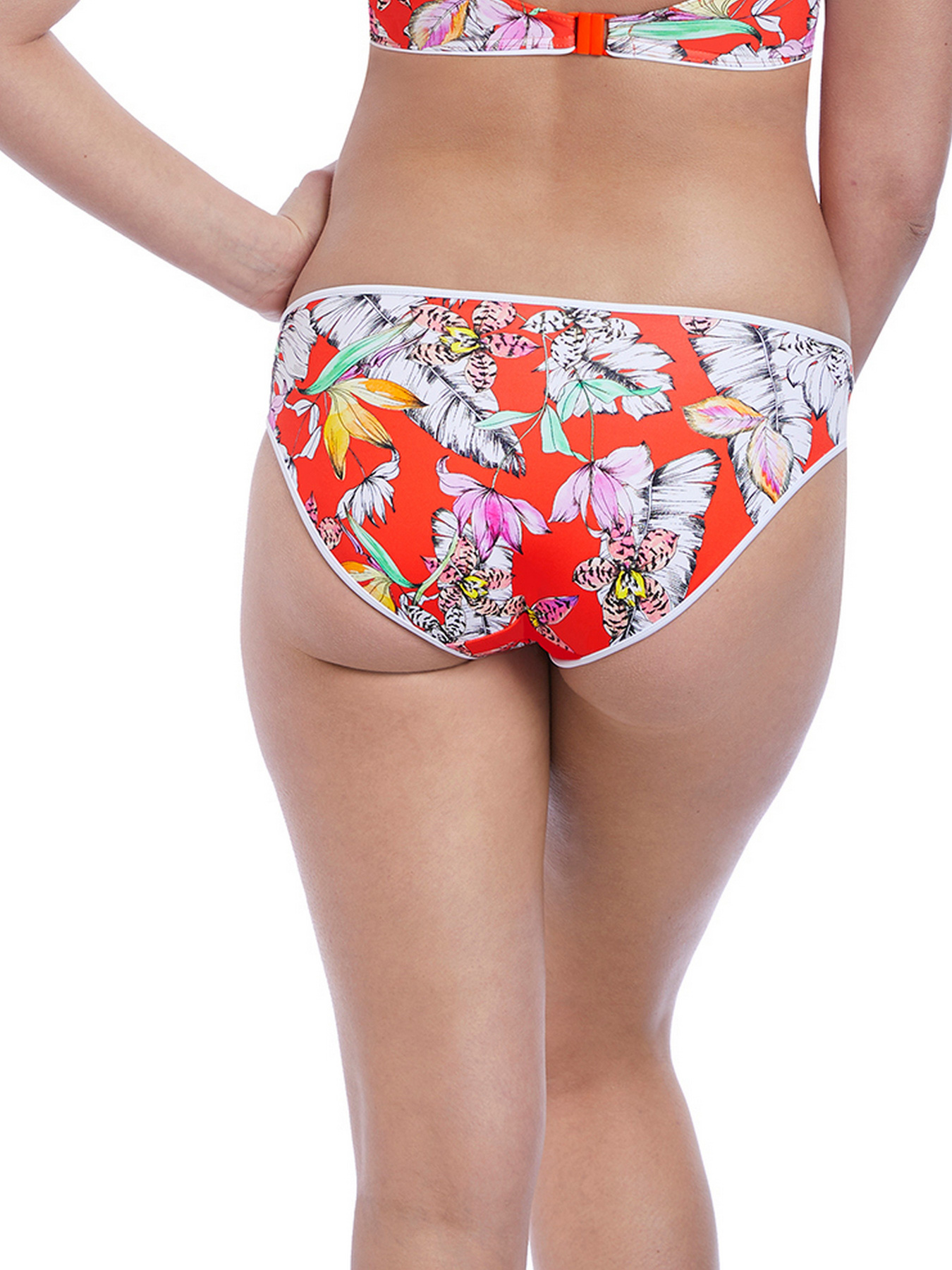 Нижня частина купальника Freya Wild Flower модель 5884FAM Фото