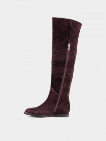 Ботфорты Sasha Fabiani модель 00000009544 Фото