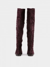 Ботфорты Sasha Fabiani модель 00000009544 Фото