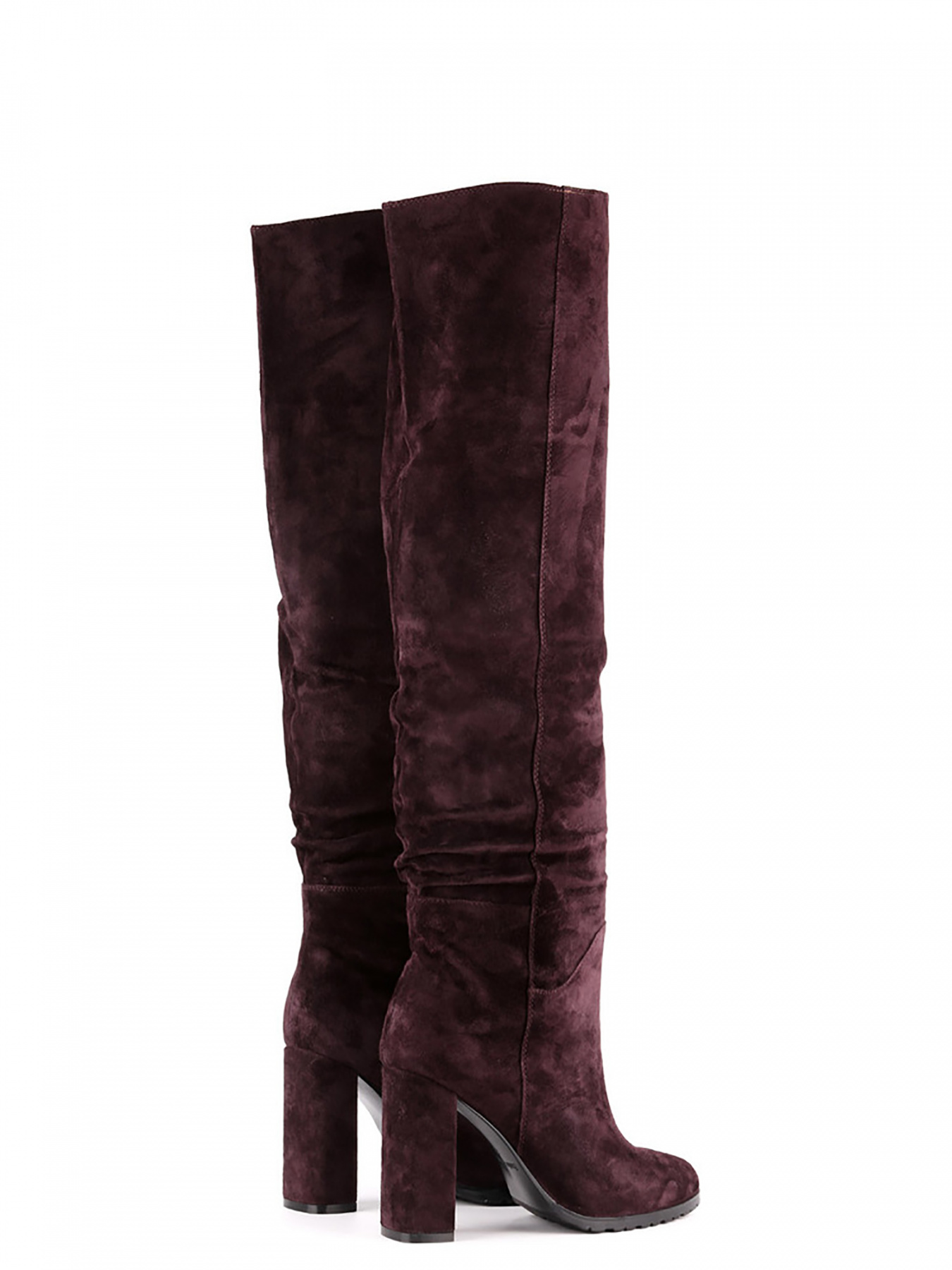 Ботфорты Sasha Fabiani модель 00000009543 Фото