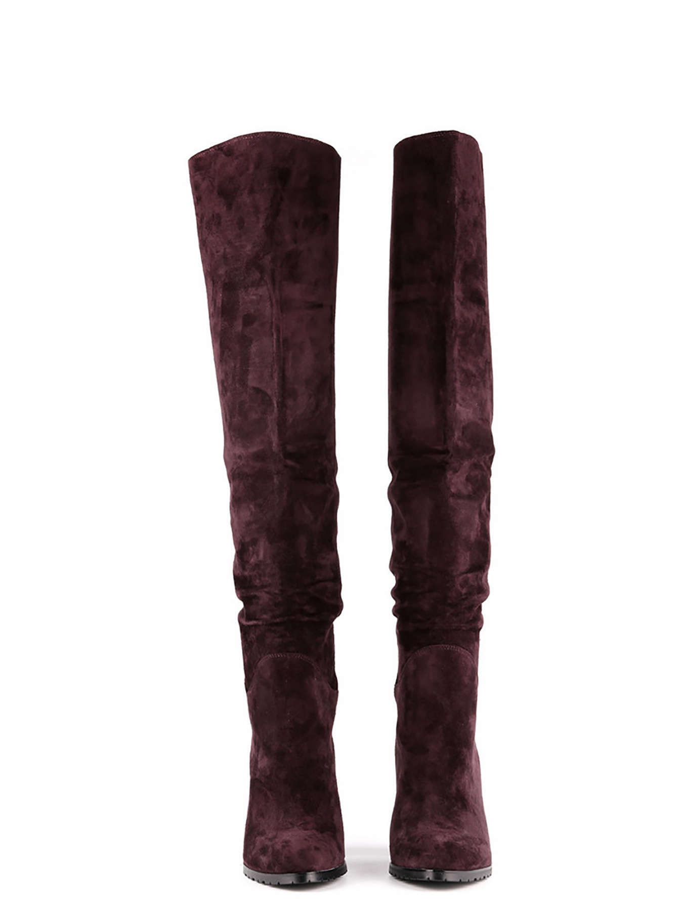 Ботфорты Sasha Fabiani модель 00000009543 Фото