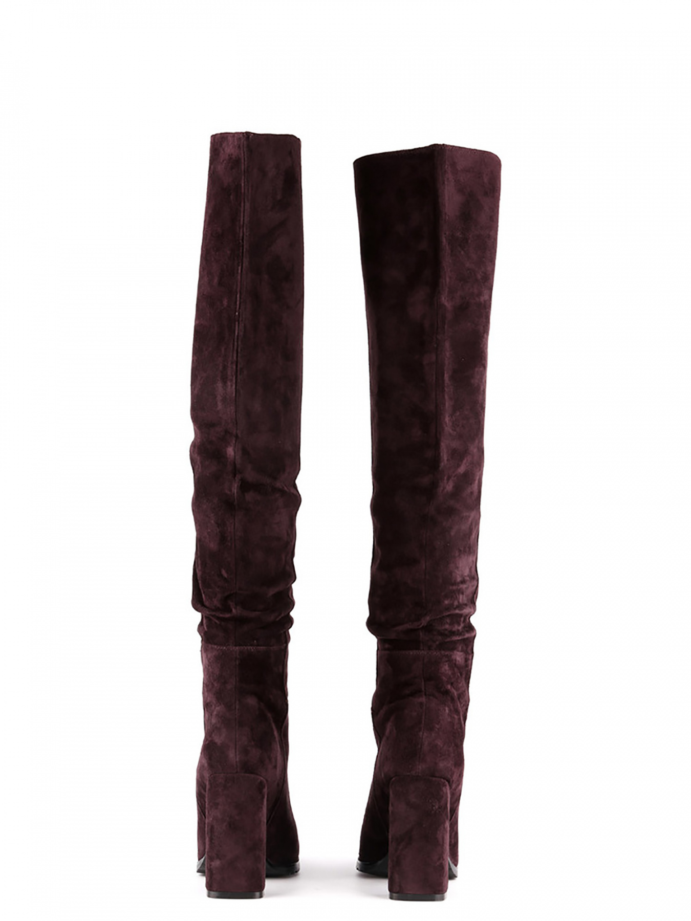 Ботфорты Sasha Fabiani модель 00000009543 Фото