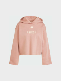 Худі Adidas модель JJ4518 Фото