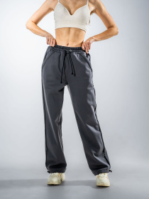 Штаны спортивные TeamV модель 157-33 Фото