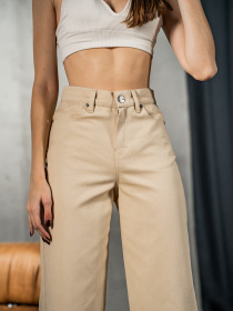 Штани повсякденні TeamV модель 1700-2 Фото