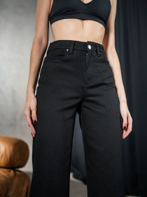 Повсякденні штани TeamV модель 1700-2 Фото