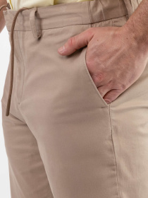 Класичні штани Arber модель M01.42.16.511 Фото