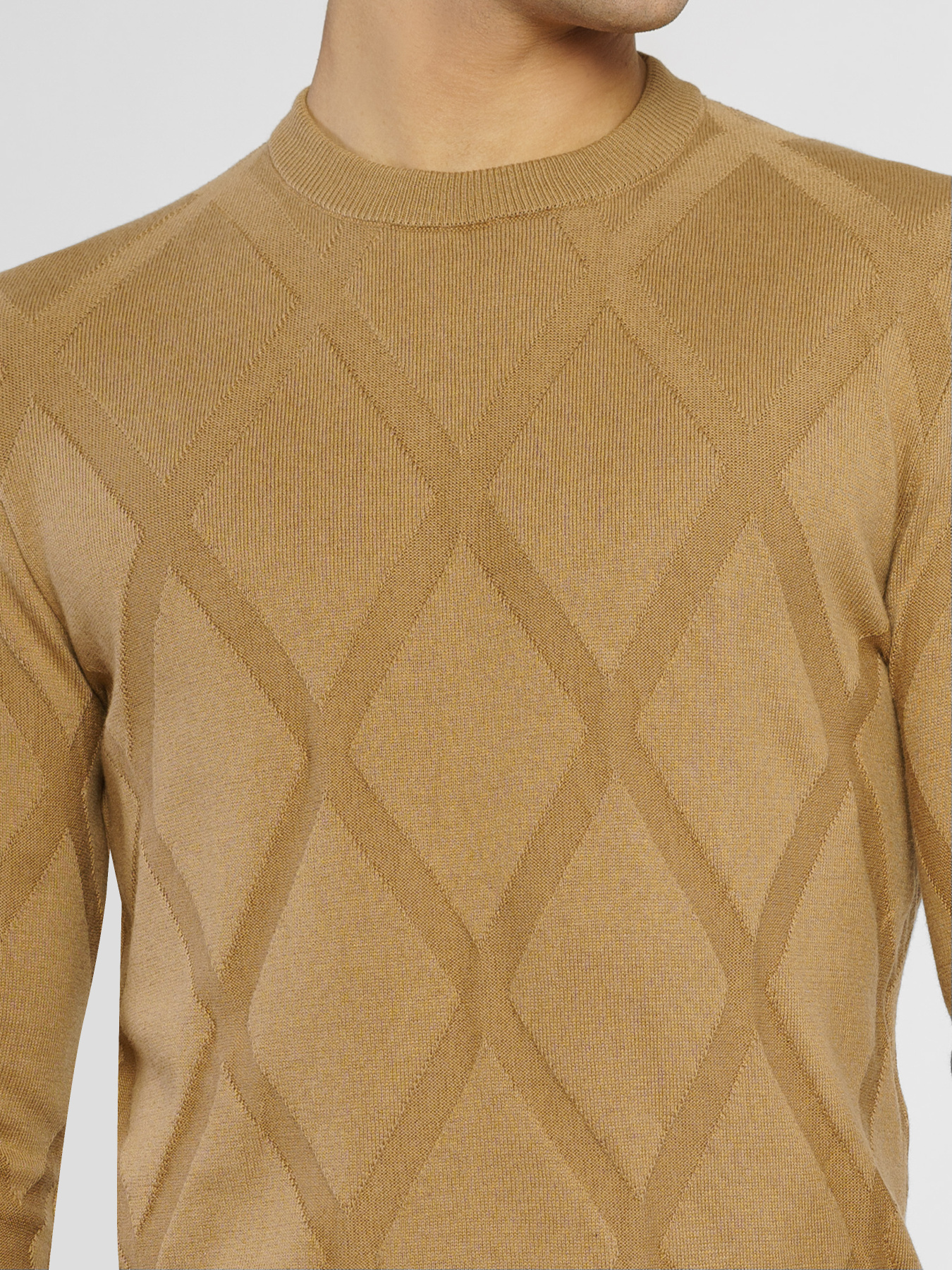 Джемпер Arber модель M10.06.16.511 Фото