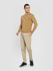 Джемпер Arber модель M10.06.16.511 Фото