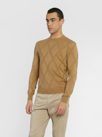 Джемпер Arber модель M10.06.16.511 Фото