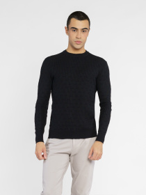 Джемпер Arber модель M10.07.02.511 Фото