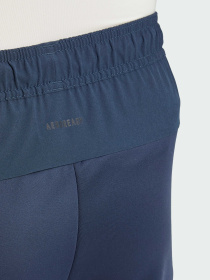 Штани спортивні Adidas Clima модель JI8160 Фото