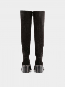 Сапоги Sasha Fabiani модель 00000008329 Фото