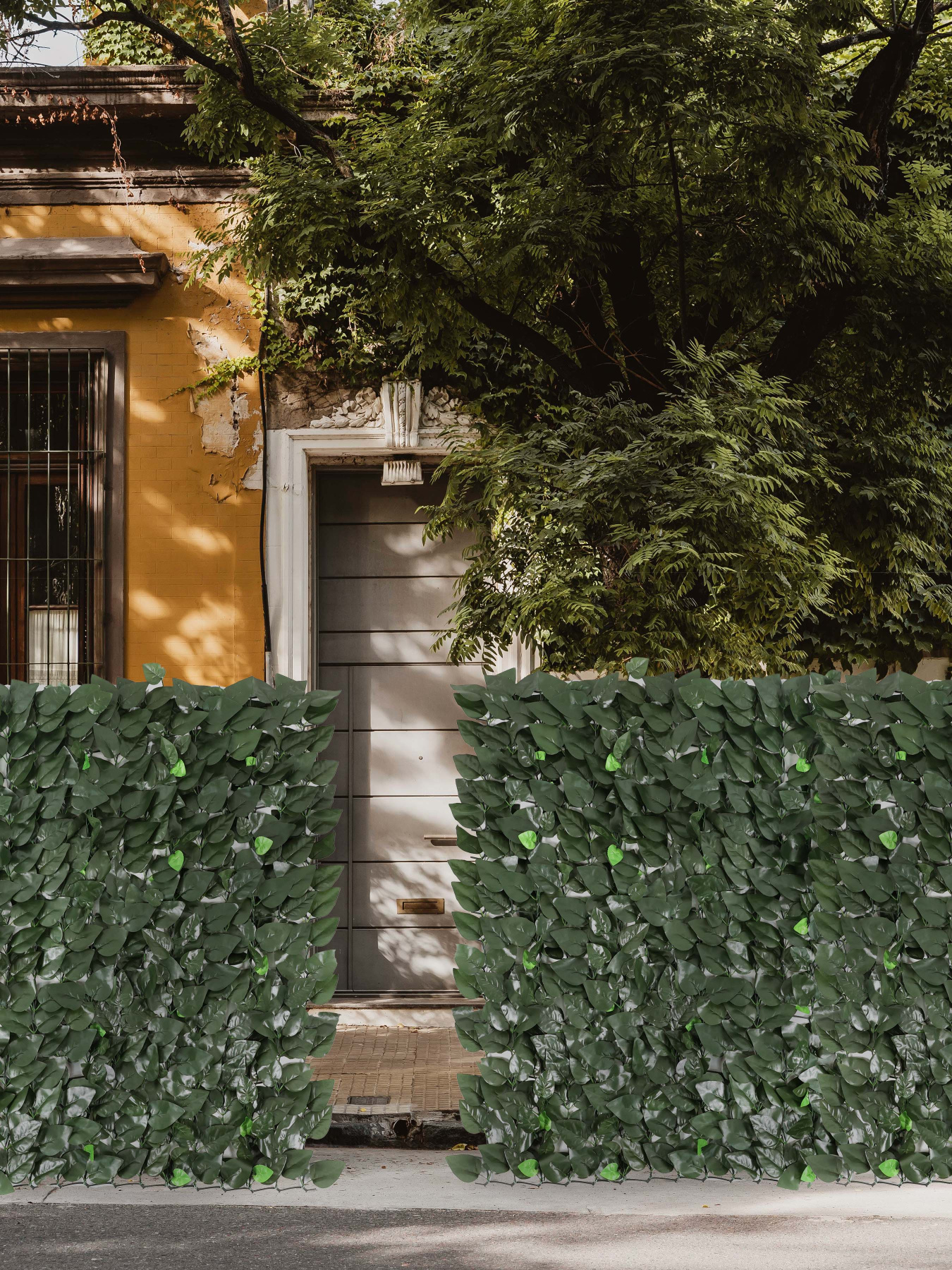 Декоративное зеленое покрытие-фитостена "Молодая листва" Engard модель GC-03 Фото