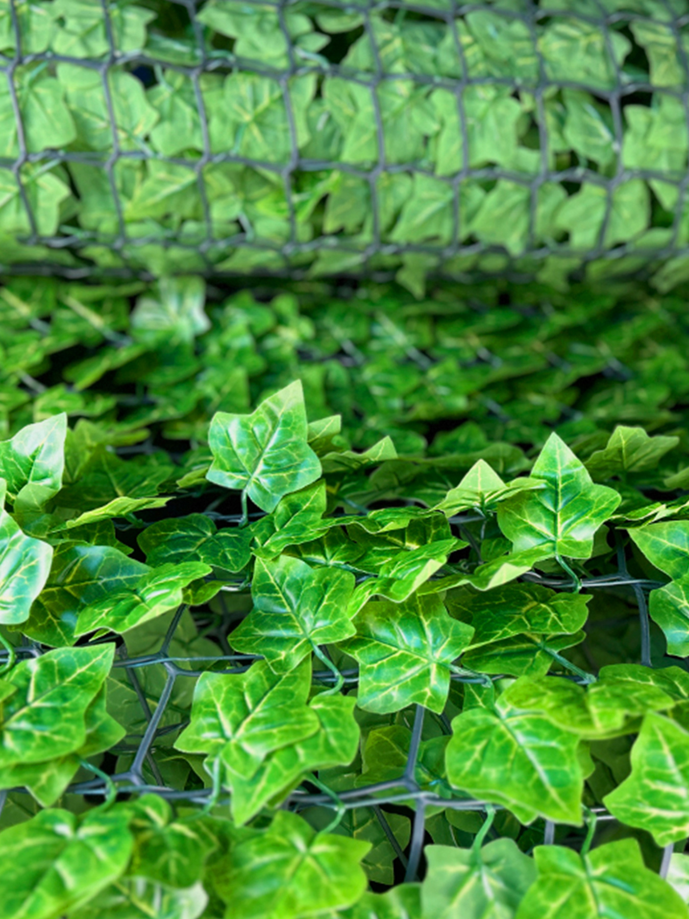 Декоративне зелене покриття-фітостіна "Яскраве листя" Engard модель GC-09 Фото