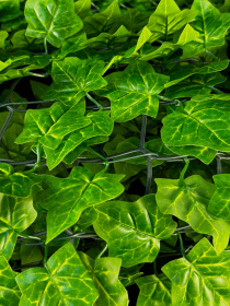 Декоративне зелене покриття-фітостіна "Яскраве листя" Engard модель GC-09 Фото