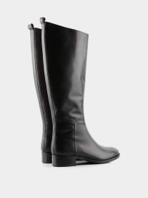 Сапоги Basconi модель 00000008266 Фото