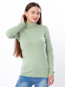 Водолазка Носи своє модель 8047-040-sro-zelenij Фото