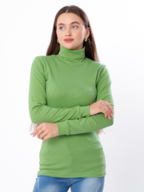 Водолазка Носи своє модель 8047-040-avokado Фото
