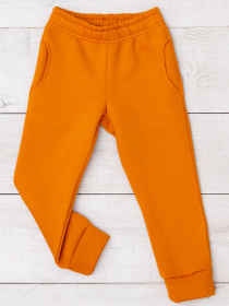 Джогери Носи своє модель 6231-025-terakotovij Фото