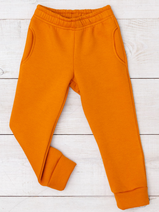 Джоггеры Носи своє модель 6231-025-terakotovij Фото