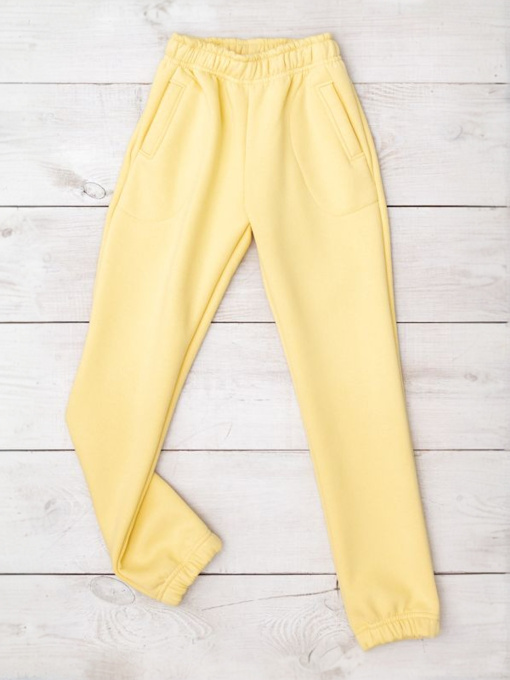 Джоггеры Носи своє модель 6060-025-svtlo-psochnij Фото