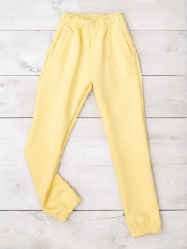 Джоггеры Носи своє модель 6060-025-svtlo-psochnij Фото