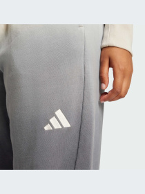 Брюки Adidas модель JJ4585-KZ Фото