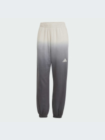Брюки Adidas модель JJ4585-KZ Фото