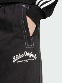 Штани повсякденні Adidas Graphics модель JP4487 Фото