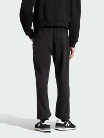 Повсякденні штани Adidas Graphics модель JP4487 Фото