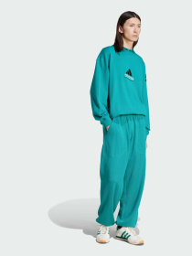 Джогери Adidas EQT модель JP0356 Фото